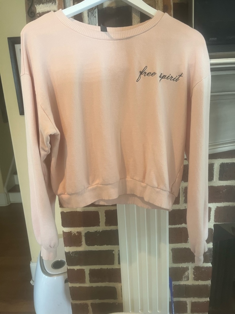Free People Alya Pastel Pink Crewneck Pullover. Only worn once.